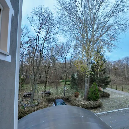 Cozy Withy Yard And Private Parking Motel *