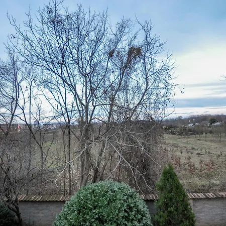 Cozy Withy Yard And Private Parking *